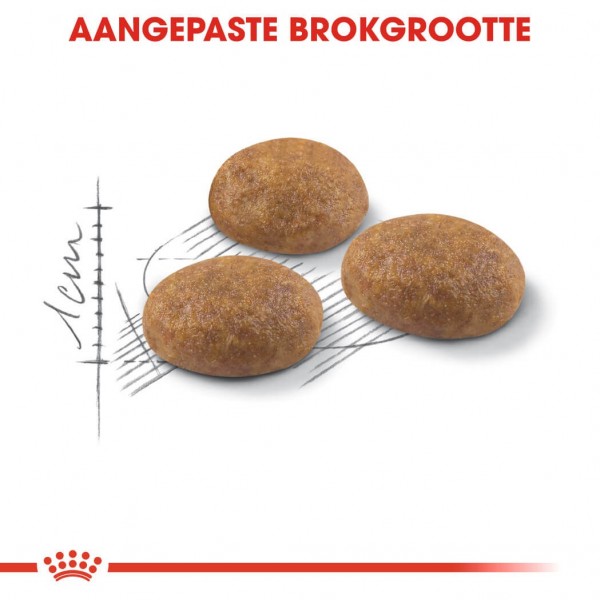 https://www.vasaprodavnica.rs/images/products/big/6556.jpg