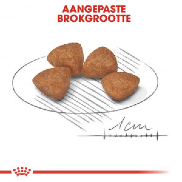 https://www.vasaprodavnica.rs/images/products/big/6854.jpg