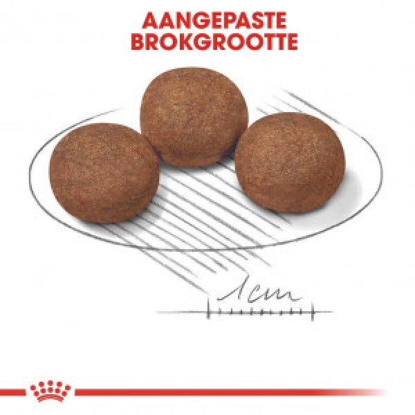 https://www.vasaprodavnica.rs/images/products/big/6948.jpg